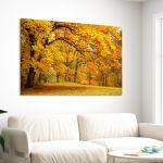 Canvas printForest scene II