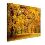 Canvas printForest scene II