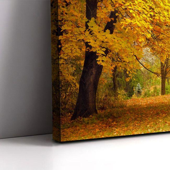 Canvas printForest scene II