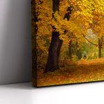 Canvas printForest scene II