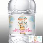 Sticker label Hot air balloon hand drawn animals art Ii