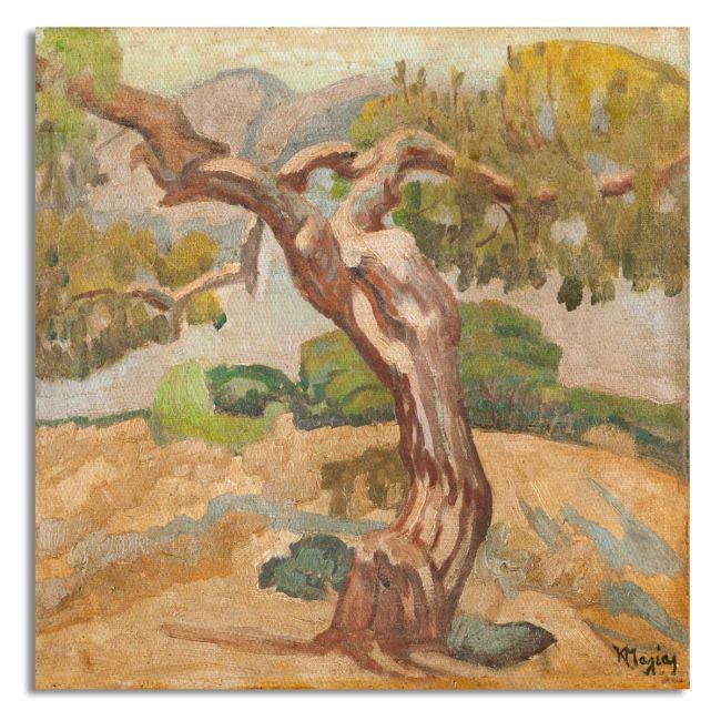 Canvas print Tree, Maleas