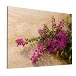 Canvas print Buckwheat and wild flowers