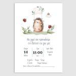 Baptism invitation, Cute hedgehog