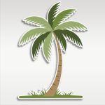 Wooden figure printed Palm tree