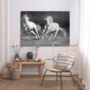 Canvas print white horses grayscale Framed canvas View 1 2