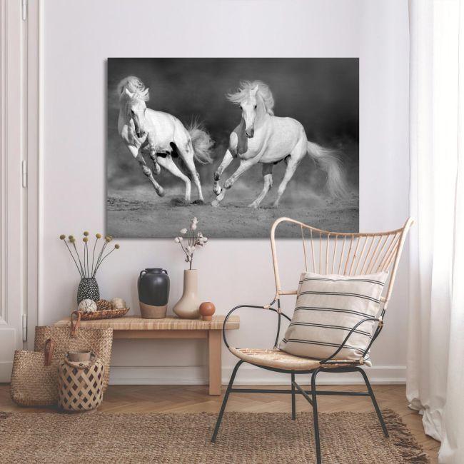 Canvas print white horses grayscale