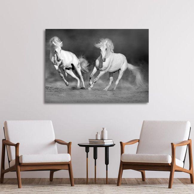 Canvas print white horses grayscale