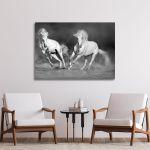 Canvas print white horses grayscale