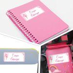 School Stickers labels Fairy