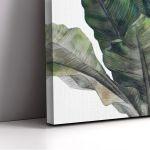 Πίνακας σε καμβά, Ficus leaves painting
