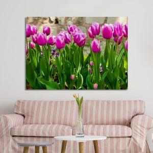 Πίνακας σε καμβά Ροζ τουλίπες, Pink tulips I