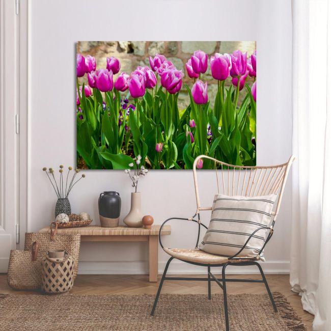 Πίνακας σε καμβά Ροζ τουλίπες, Pink tulips I