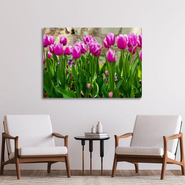 Πίνακας σε καμβά Ροζ τουλίπες, Pink tulips I