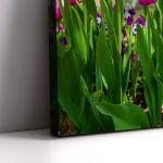 Canvas print Pink tulips I