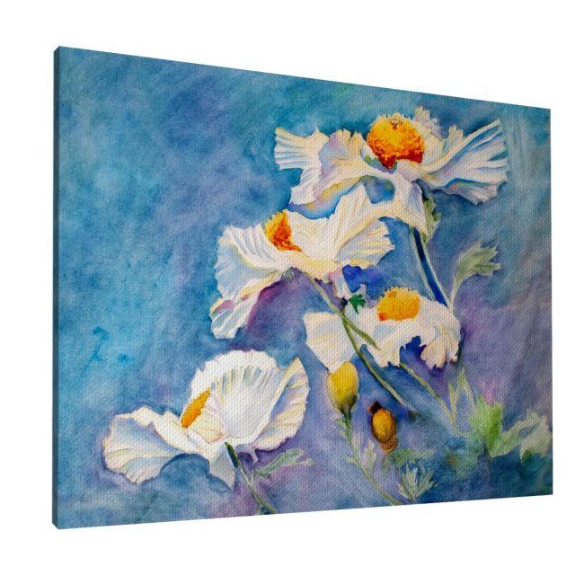 Canvas print Poppies, White poppies