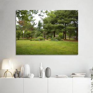 Canvas print Backyard Garden