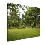 Canvas print Backyard Garden
