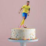 Cake topper Printed plexiglass Lion King