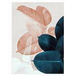 Dark green and pink leaves, poster