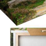 Canvas print Backyard Garden 2