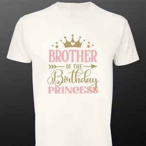 Μπλουζάκι Brother of the birthday princess