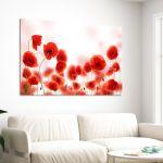 Canvas print Poppies, Poppy field