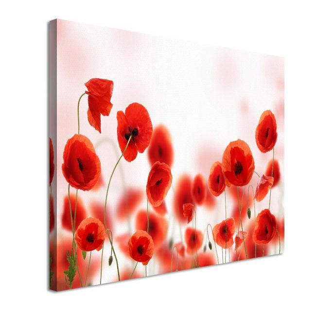 Canvas print Poppies, Poppy field