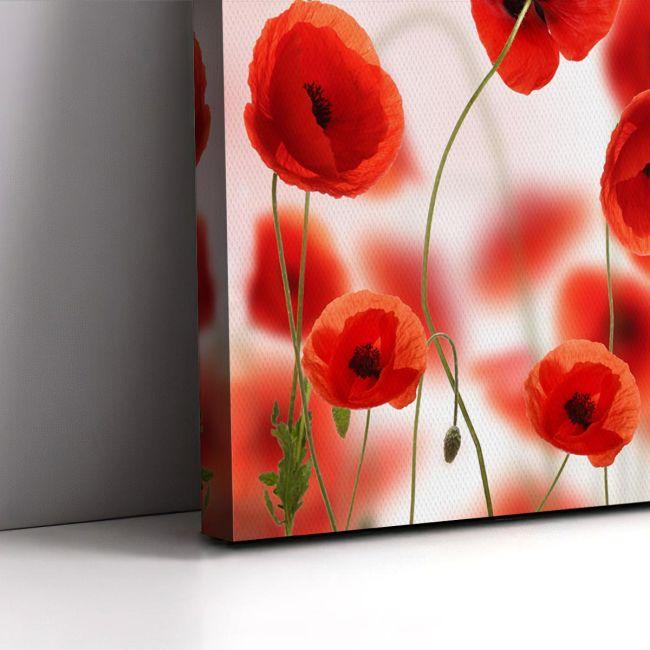 Πίνακας σε καμβά Παπαρούνες, Poppy field II