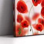 Πίνακας σε καμβά Παπαρούνες, Poppy field II