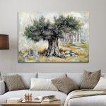Canvas print Ancient olive tree