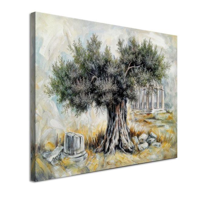 Canvas print Ancient olive tree