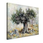 Canvas print Ancient olive tree