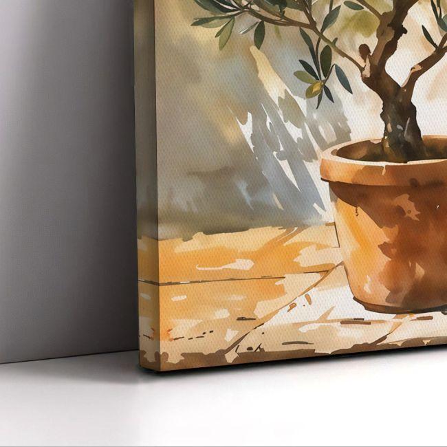 Canvas print Olive tree in a pot II