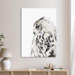 Canvas print White owl