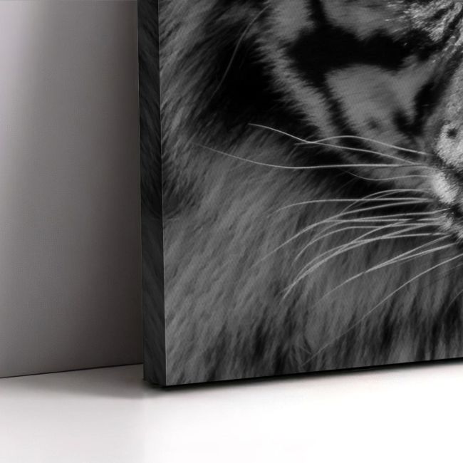 Canvas print Yellow eyed tiger