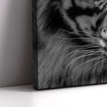 Canvas print Yellow eyed tiger