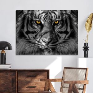 Πίνακας Yellow eyed tiger