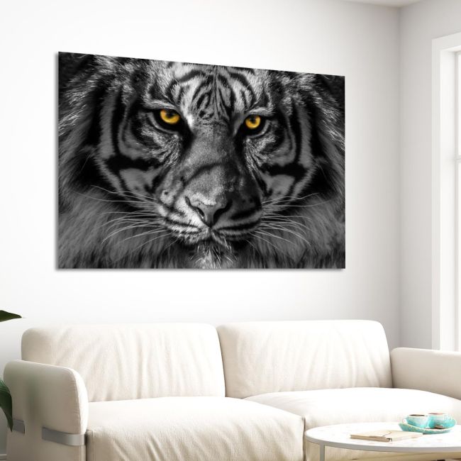 Canvas print Yellow eyed tiger
