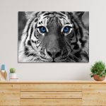 Πίνακας Blue eyed tiger