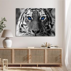 Canvas print Blue eyed tiger Framed canvas View 1 2