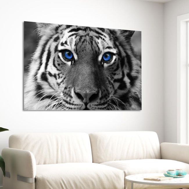 Canvas print Blue eyed tiger