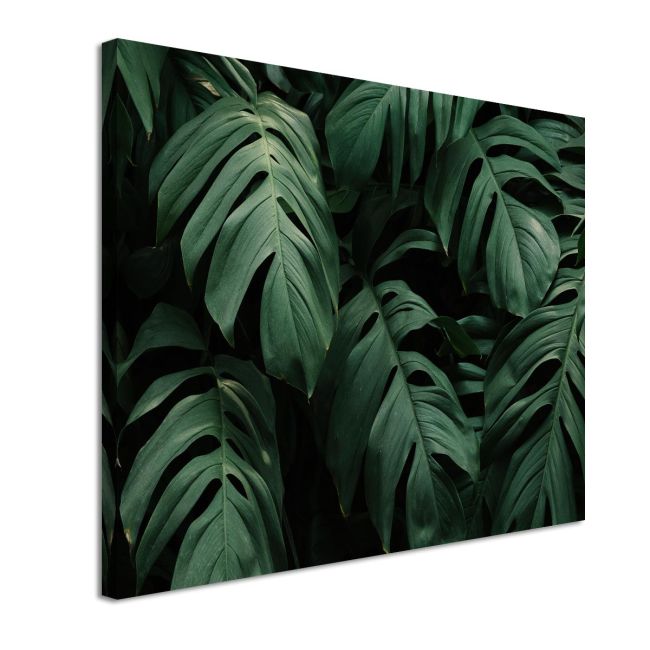 Πίνακας Palm leaves