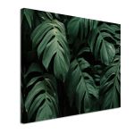 Πίνακας Palm leaves