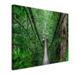 Canvas print Hanging forest bridge