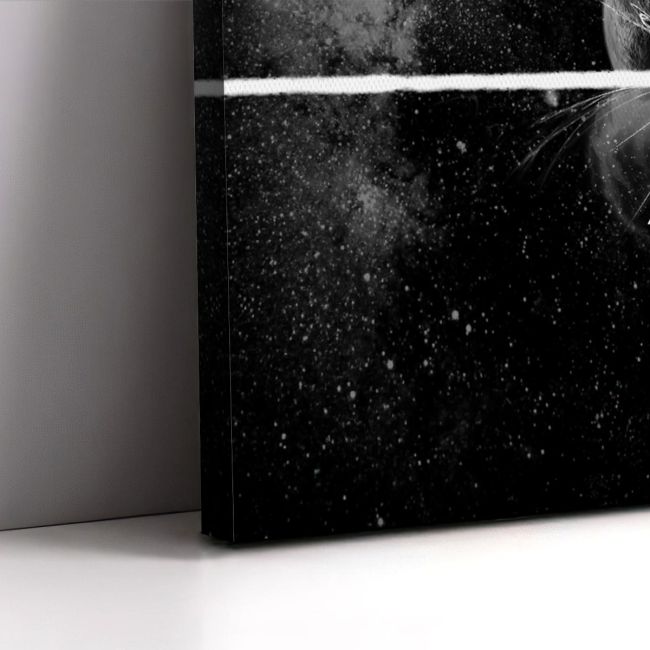 Canvas printDarkness, Light, Color