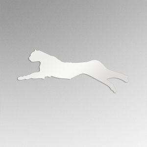 Plexi κοπτικα , Τσαγκερας