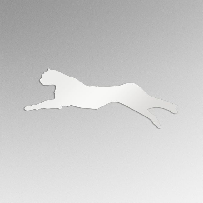 Plexi κοπτικα , Τσαγκερας