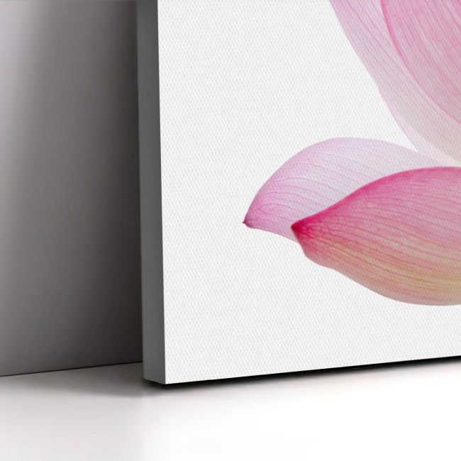 Πίνακας Lotus flower