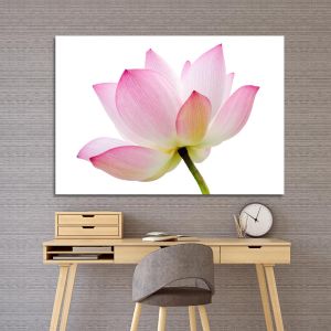Πίνακας Lotus flower